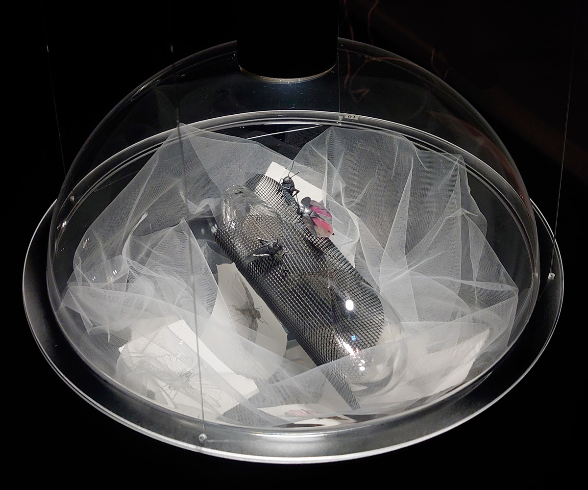 Smed: Christine Ramel Foto: Filip Palmén. Titel: Alvarets hemligheter