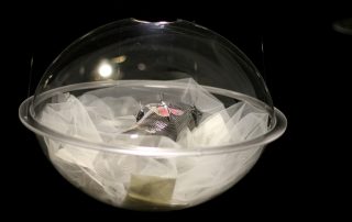 Smed: Christine Ramel Foto: Emma Jernberg. Titel: Alvarets hemligheter