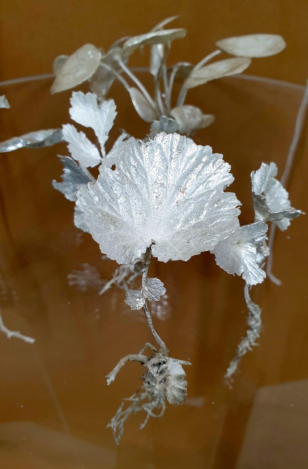 Smed: Karolina Hägg Foto: Karolina Hägg. Titel: Frusna växter