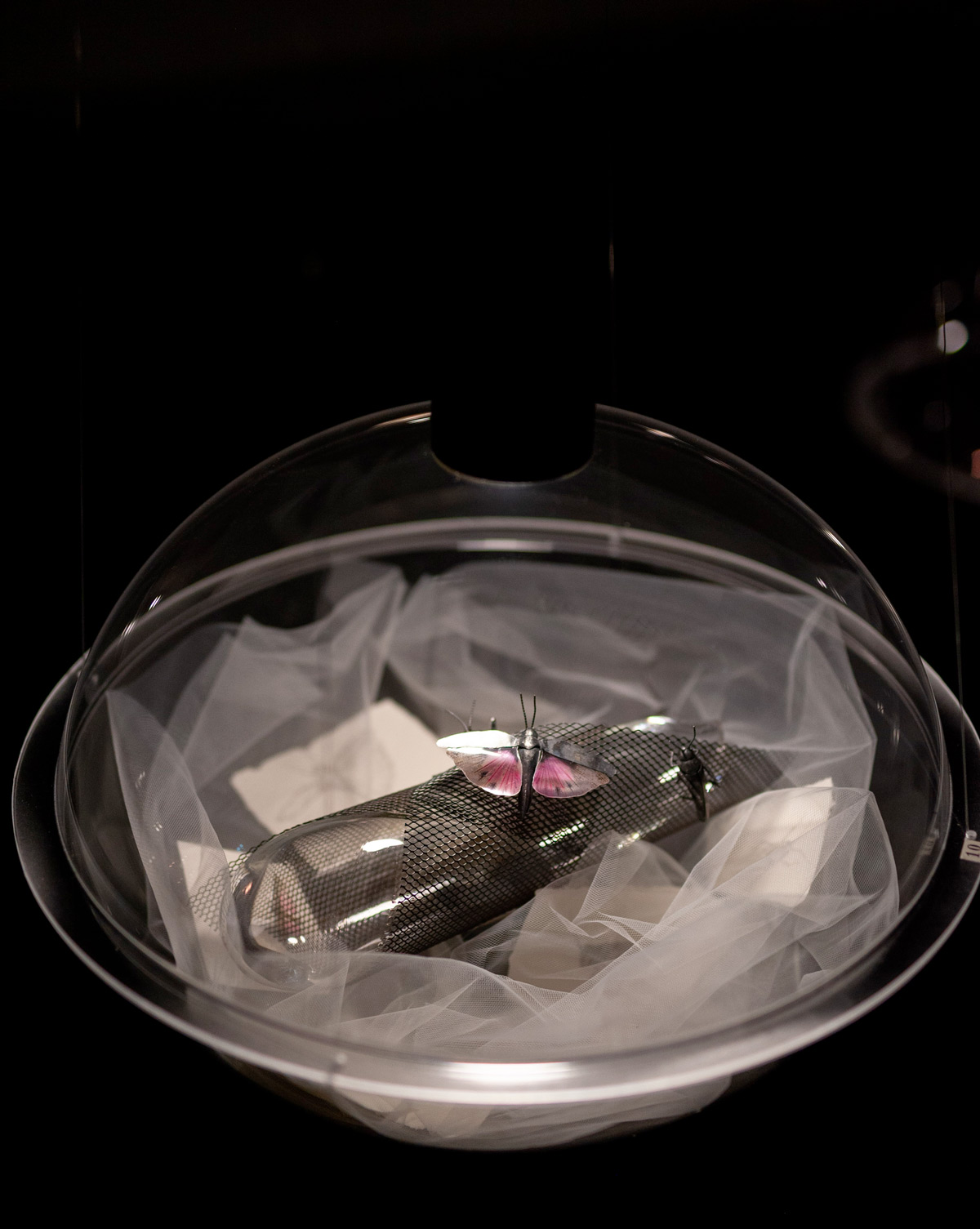 Smed: Christine Ramel Foto: Emma Jernberg. Titel: Alvarets hemligheter