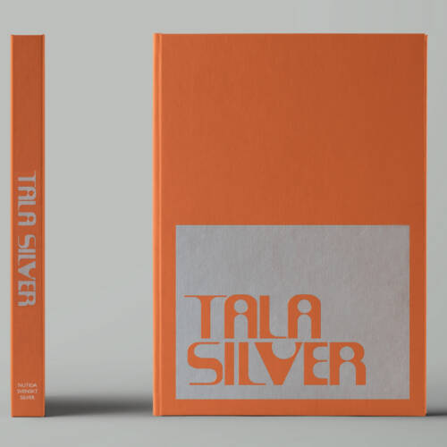 Nutida Svenskt Silver Tala Silver formgivare Cecilia Lindgren omslag - Nutida Svenskt Siver