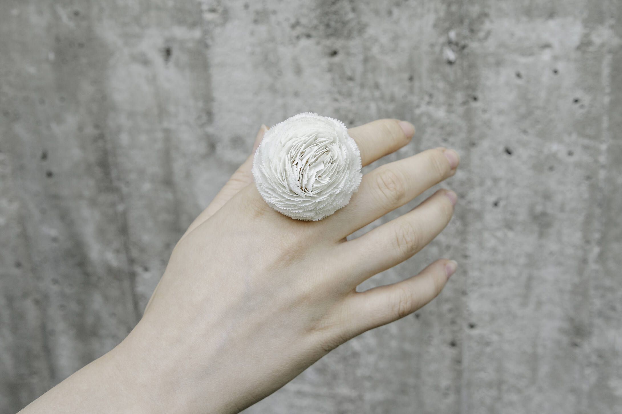 5_scaledup 5 scaledup scaled - Nutida Svenskt Siver